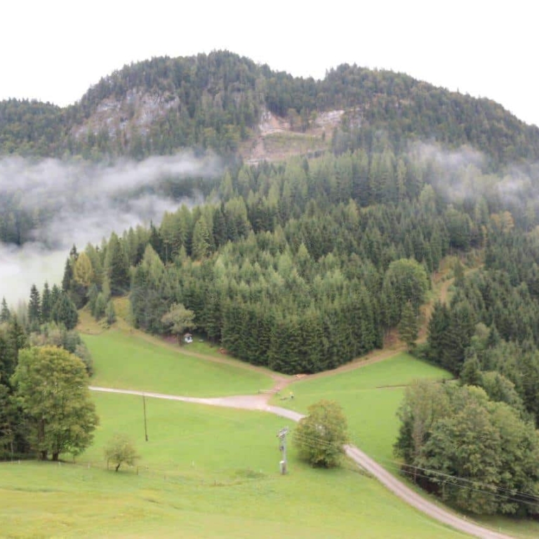Ausblick von der Rocheralm Abtenau/Scheffau