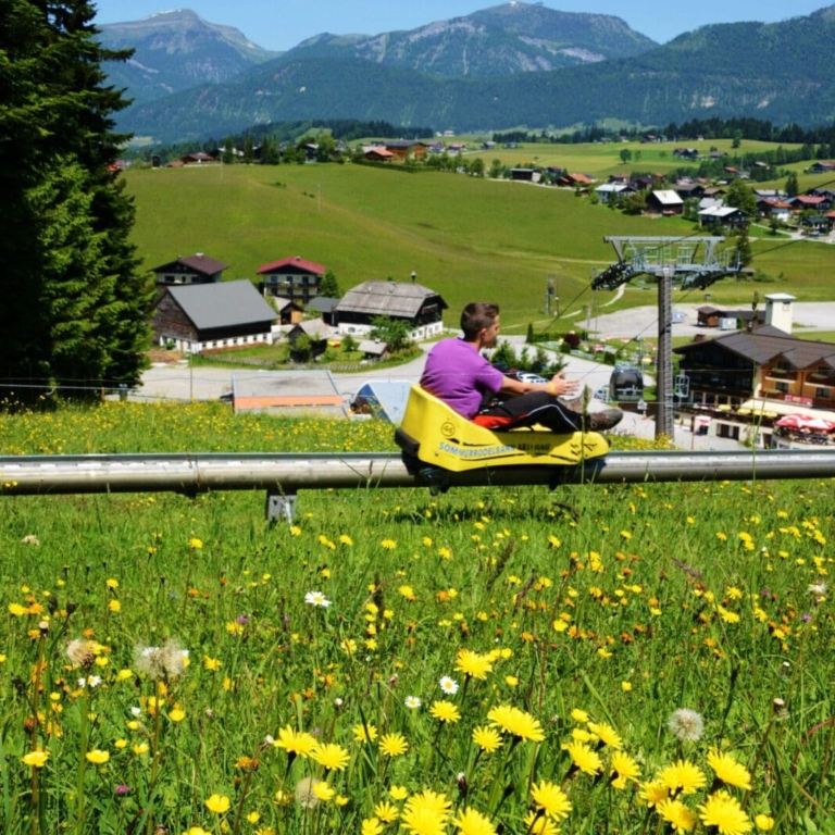 Sommerrodeln auf Blumenwiese in Abtenau ©tvbabtenau
