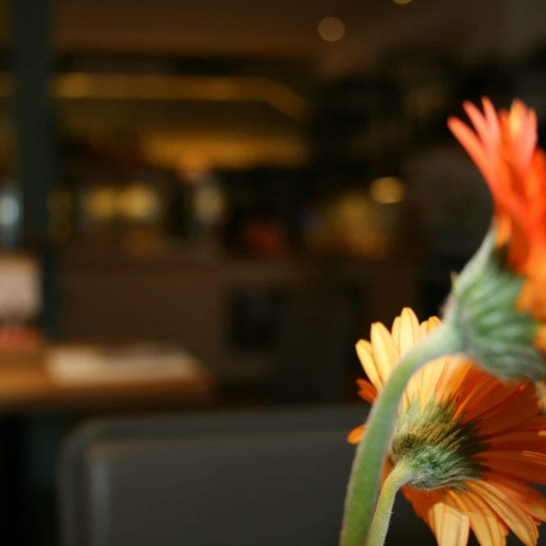 Blumen Café Kubus