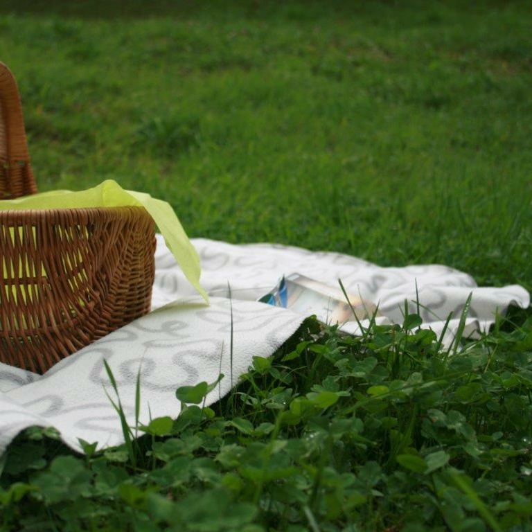 Picknickkorb gepackt?! ©TVB Kuchl