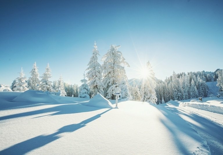 Schneelandschaft ©Dachstein West
