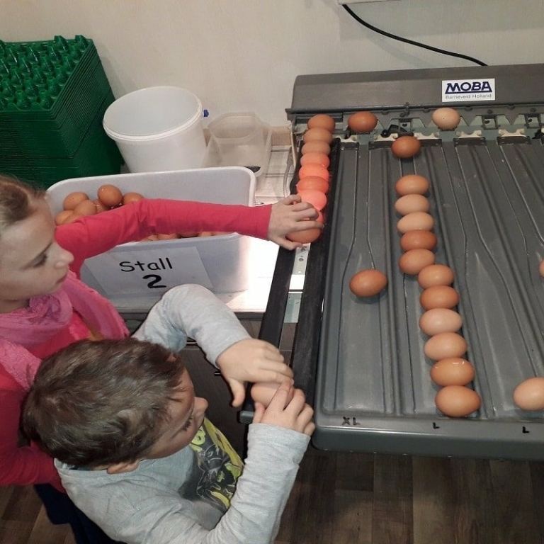Julia und Fabian beim Eier Sortieren mit Sortiermaschine ©Mayrhofbauer Bad Vigaun