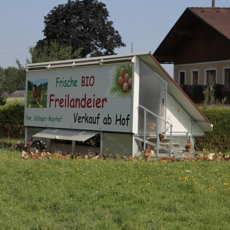 Hühnermobil mit Hühner auf Wiese ©Mayrhofbauer Bad Vigaun