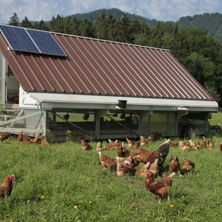 Rückseite Hühnermobil mit Photovoltaikanlage am Dach ©Mayrhofbauer Bad Vigaun
