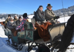 Deutsche Urlauber auf Pferdekutschenfahrt in Abtenau (c)Fröschl