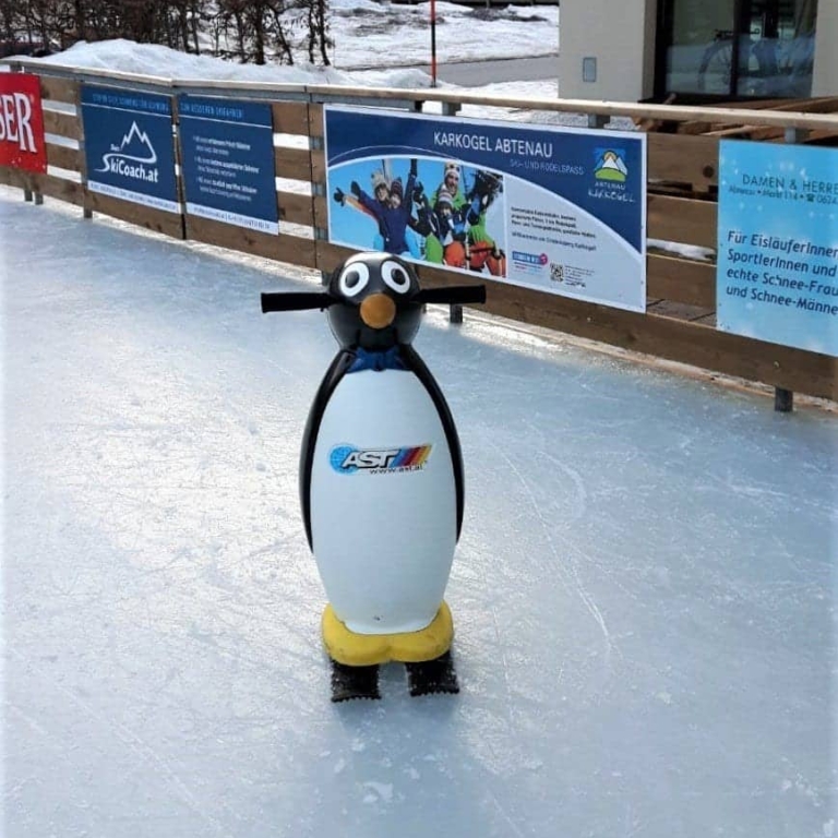 Standfester Pinguin (c)Martina Gappmaier