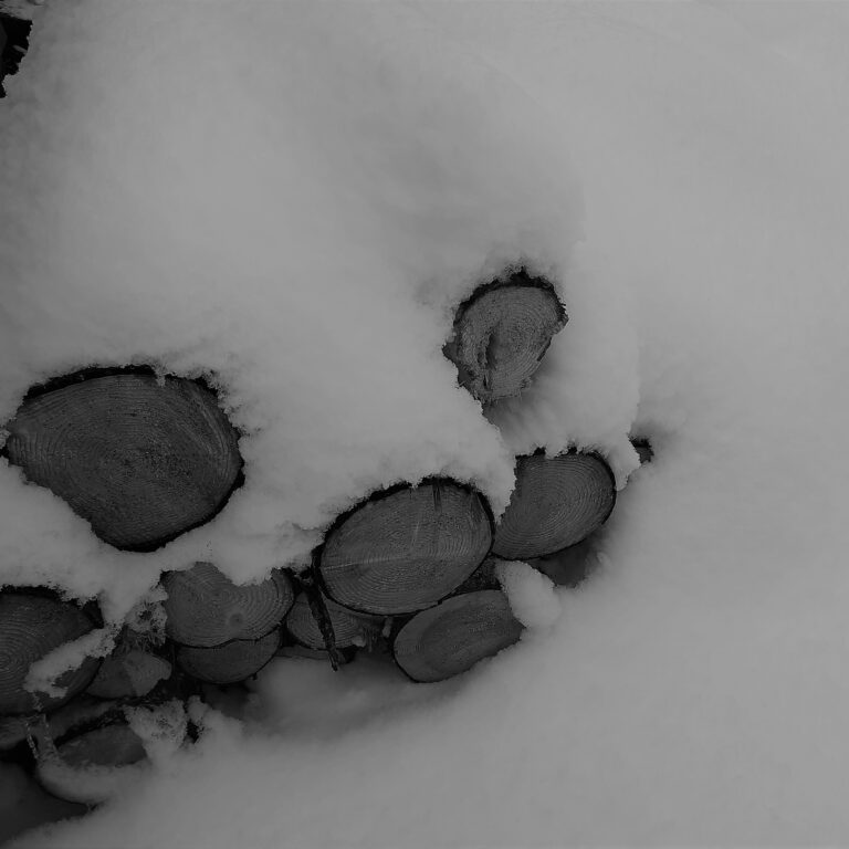 Holzstämme im Schnee (c)Martina Gappmaier