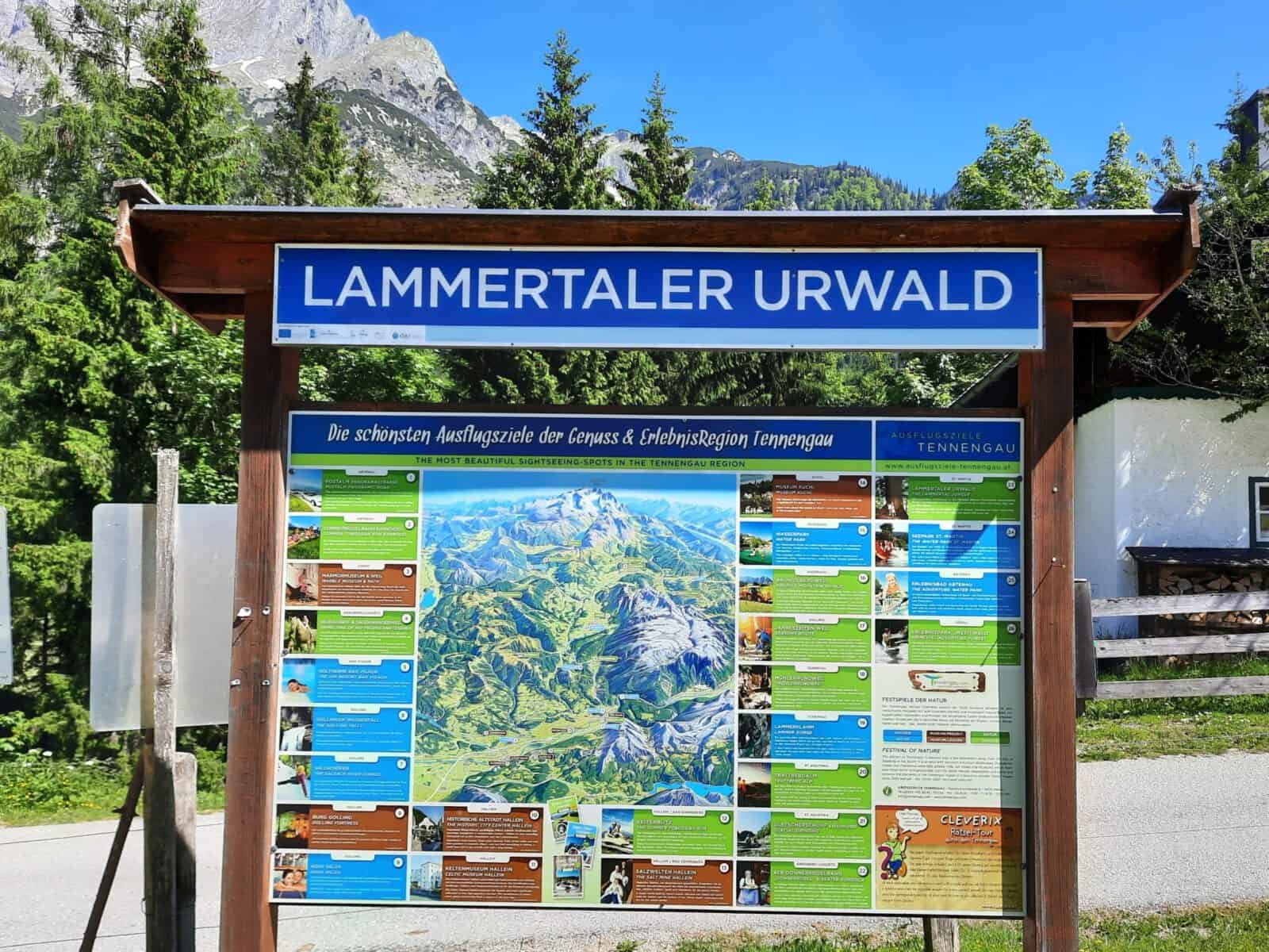 Hier geht es zum Lammertaler Urwald (c)Martina Gappmaier