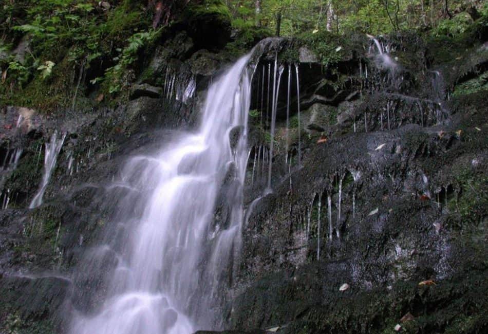 Gollinger Wasserfall (c)TVB Kuchl