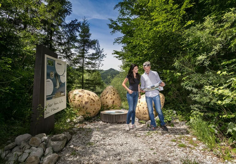 Eier Kiesbrüter Lebensader Taugl Bad Vigaun, ©TVB Bad Vigaun