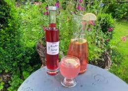 Beitragsbild Eistee-Sirup ©Martina Gappmaier