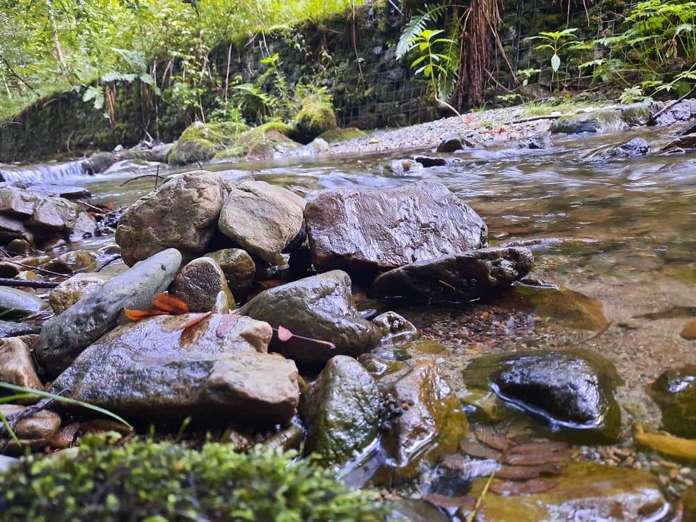 Wasserspaß am Bach ©Martina Gappmaier