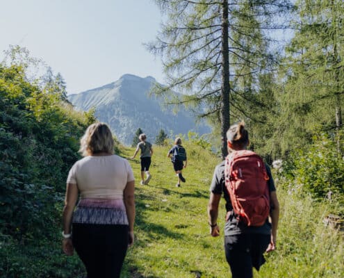 Eine Frau, ein Mann und zwei Kinder wandern auf einem Feldweg, im Hintergrund das Panorama des Schmittensteins
