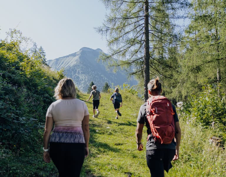 Eine Frau, ein Mann und zwei Kinder wandern auf einem Feldweg, im Hintergrund das Panorama des Schmittensteins