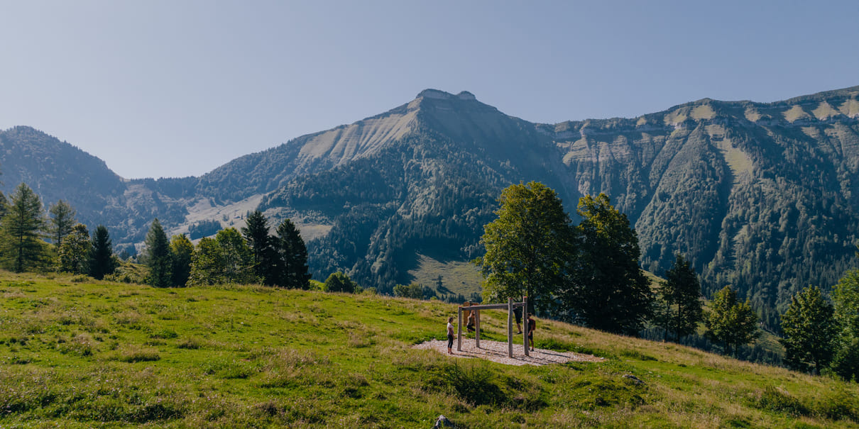 Eine Bewegungsstation am Walderlebnisweg Krispl-Gaißau, im Hintergrund das Panorama des Schmittenstein