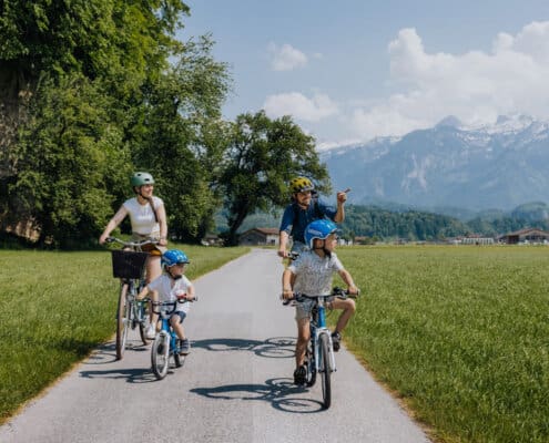 Eine Familie mit Mann, Frau und 2 Jungs fahren mit dem Fahrrad vor einer Bergkulisse. 