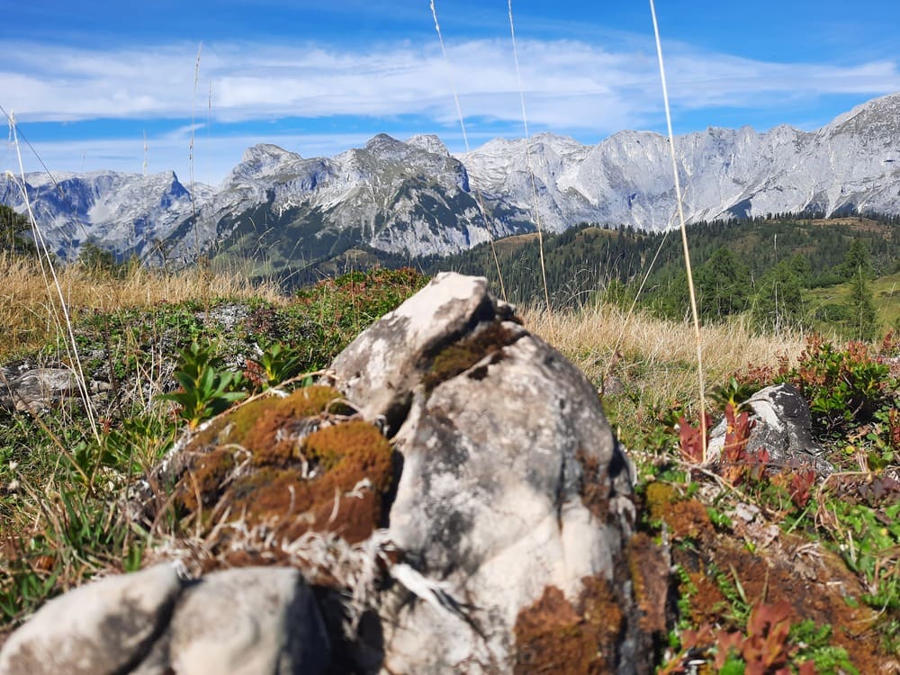 einfach nur die Aussicht genießen ©Martina Gappmaier einfach nur die Aussicht genießen ©Martina Gappmaier