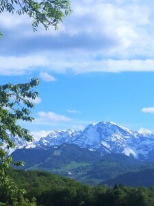 Ausblick auf den Dürnberg