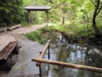 Ein tag im geisterwald | russbach