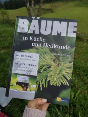 Bäume heilbuch scaled