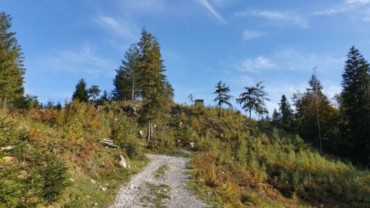 Hubertusmesse puch – die jägerkapelle auf der schönalm