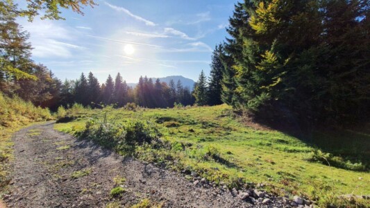 Wanderung zur Hubertuskapelle auf der Schönalm