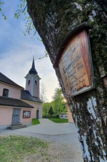 Kaiserlinde am Kirchplatz in St. Jakob