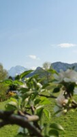 Barmsteine im Blick