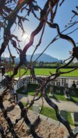 Friedhof Pfarrkirche Puch