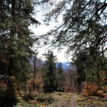 Herbstwandern
