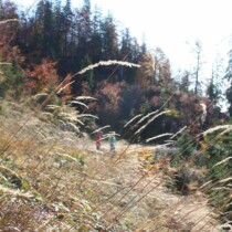 Herbstwanderung
