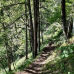 Wanderweg Nr.13/Arnoweg - Richtung Lammerklamm
