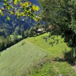 Arnoweg/Wanderweg Nr. 13,
Richtung Lammerklamm,
zwischen Schilchegg und Etz